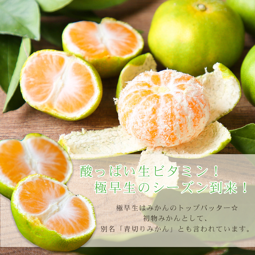 極早生