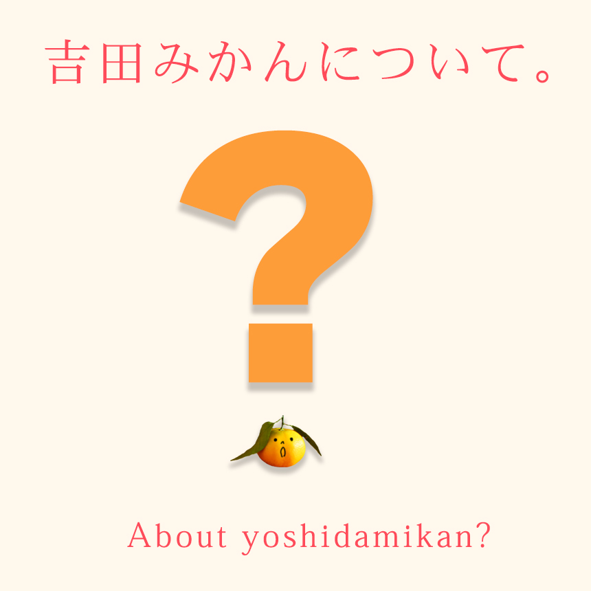 吉田みかん