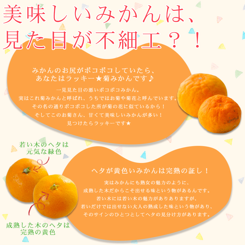 吉田みかん