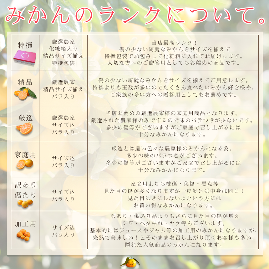 吉田みかん