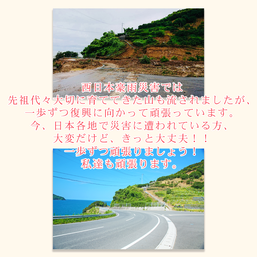 吉田みかん