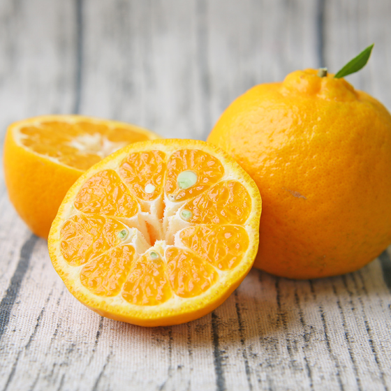 【SALE】みかん　大玉ポンカン7ｋｇ（28-35玉前後）　ミカン　果物　フルーツ　柑橘　厳選家庭用　多少の傷あり　大玉　サイズ込み　フレッシュつちやま　愛媛県産　宇和島　青果　送料無料　吉田みかん　吉田町　贈答