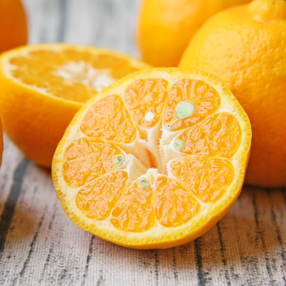 【SALE】みかん　大玉ポンカン7ｋｇ（28-35玉前後）　ミカン　果物　フルーツ　柑橘　厳選家庭用　多少の傷あり　大玉　サイズ込み　フレッシュつちやま　愛媛県産　宇和島　青果　送料無料　吉田みかん　吉田町　贈答