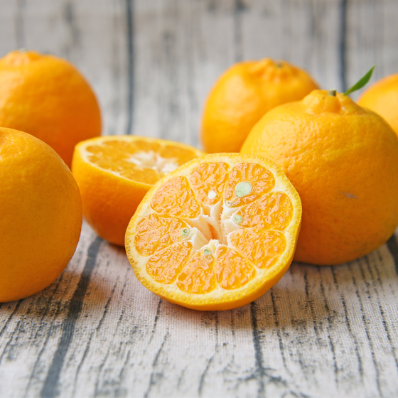 【SALE】みかん　精品　ポンカン7ｋｇ（40-55玉前後）　ミカン　果物　フルーツ　柑橘　厳選　贈答　多少の傷あり　M～2L　サイズ込み　フレッシュつちやま　愛媛県産　宇和島　青果　送料無料　吉田みかん　吉田町　贈答