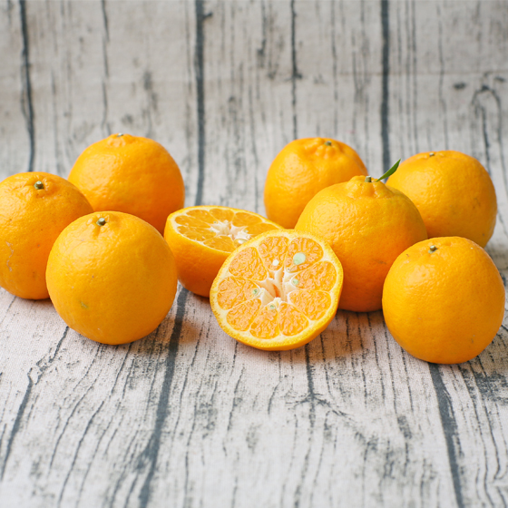 【SALE】みかん　精品　ポンカン7ｋｇ（40-55玉前後）　ミカン　果物　フルーツ　柑橘　厳選　贈答　多少の傷あり　M～2L　サイズ込み　フレッシュつちやま　愛媛県産　宇和島　青果　送料無料　吉田みかん　吉田町　贈答