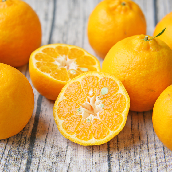 【SALE】みかん　精品　ポンカン7ｋｇ（40-55玉前後）　ミカン　果物　フルーツ　柑橘　厳選　贈答　多少の傷あり　M～2L　サイズ込み　フレッシュつちやま　愛媛県産　宇和島　青果　送料無料　吉田みかん　吉田町　贈答