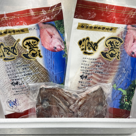 魚　愛鯛まるまる鯛セット　１尾分　原魚約１，５ｋｇ　まるまる鯛　さかな　サカナ　鍋　タイ　たい　鯛　愛鯛　冷凍　尾頭付　祝い鯛　お食い初め　塩釜　塩焼き　鮮魚　愛媛県産　愛媛県認定　愛あるブランド魚　送料無料