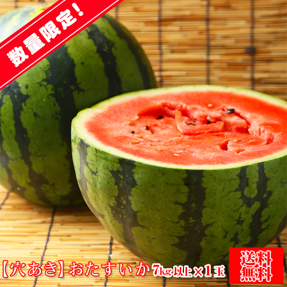 予約販売　穴あきおたすいか　７ｋｇ前後　すいか割りにおすすめです　中に穴のあいた訳あり品となります　愛媛県産　送料無料　すいか　スイカ　西瓜