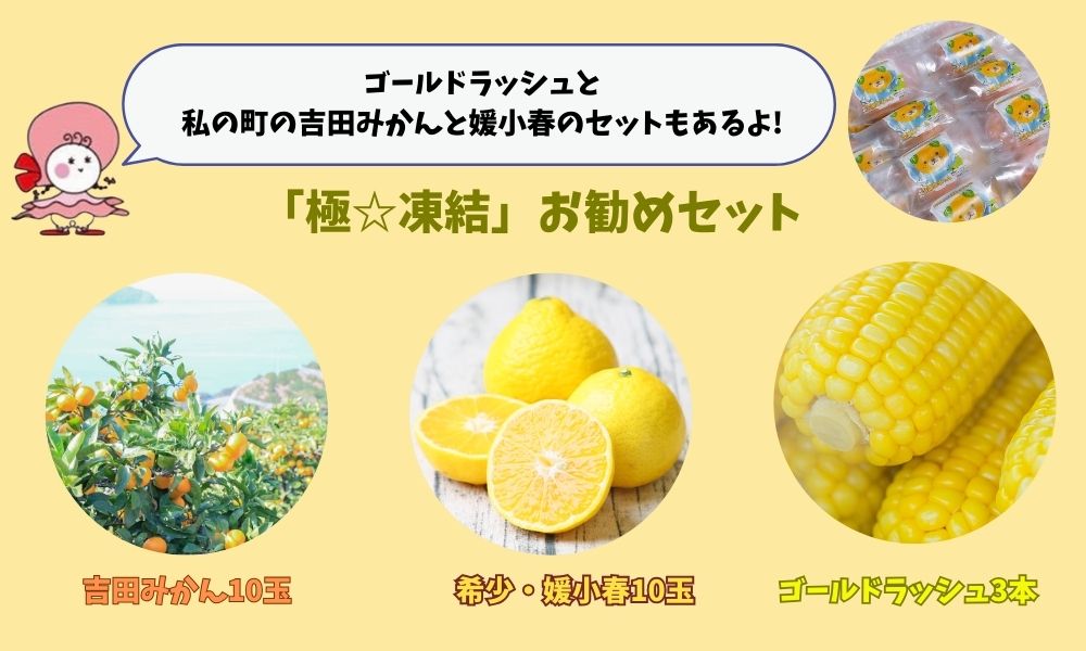 冷凍みかんセット(吉田みかん10玉・媛小春10玉・ゴールドラッシュ3本)