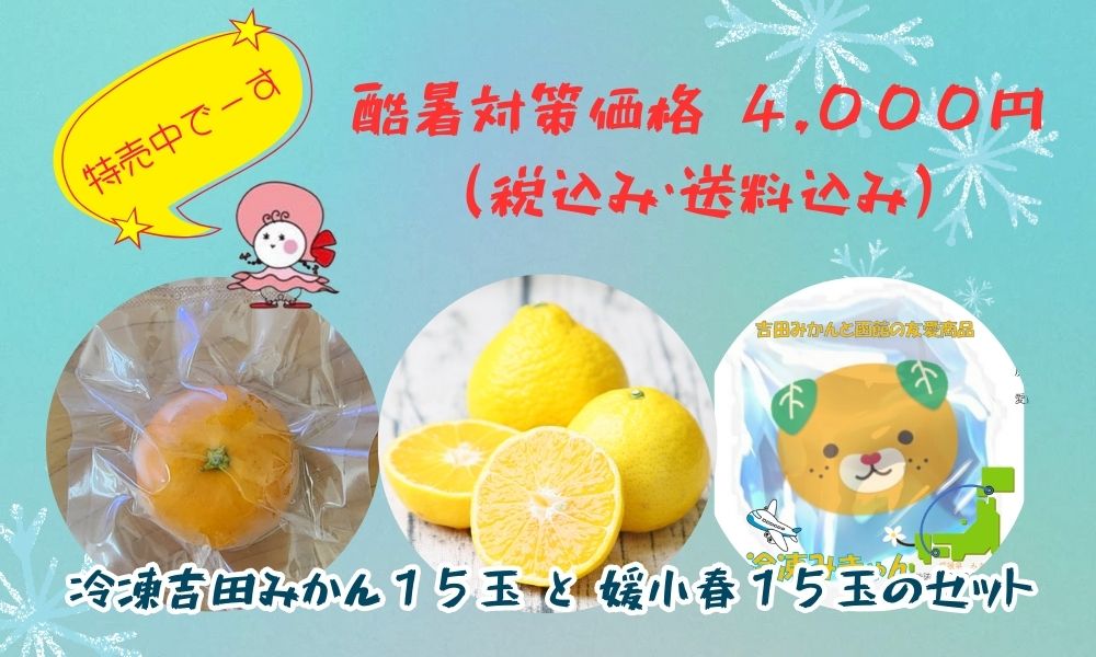 冷凍みかんセット（みかん15玉・媛小春15玉）