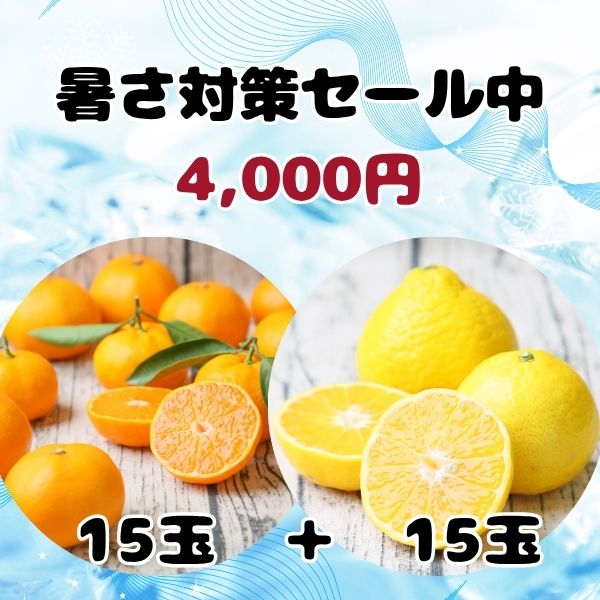 ちびみかん商品 株式会社フレッシュつちやま / 全商品