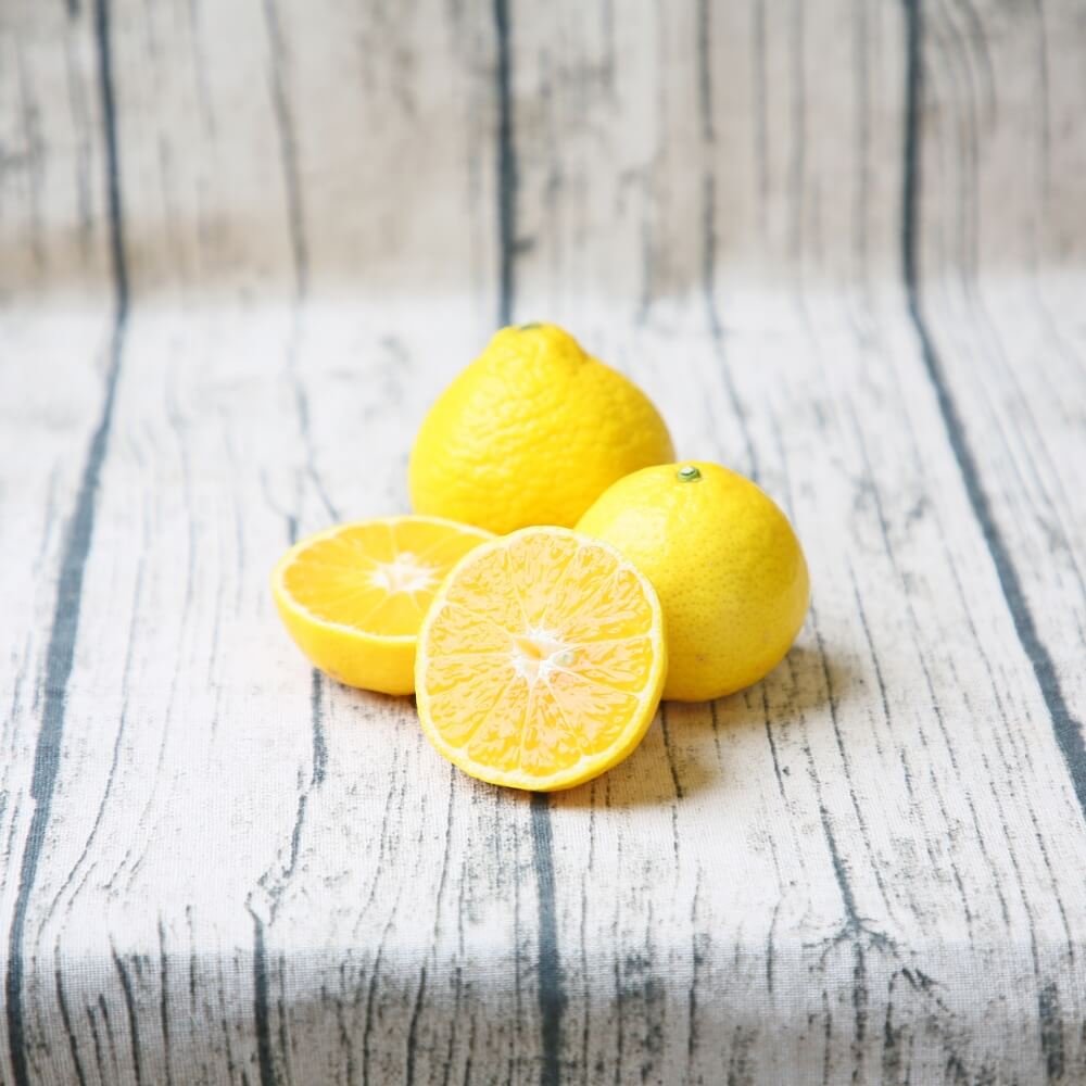 媛小春　家庭用（傷あり・サイズ込み）