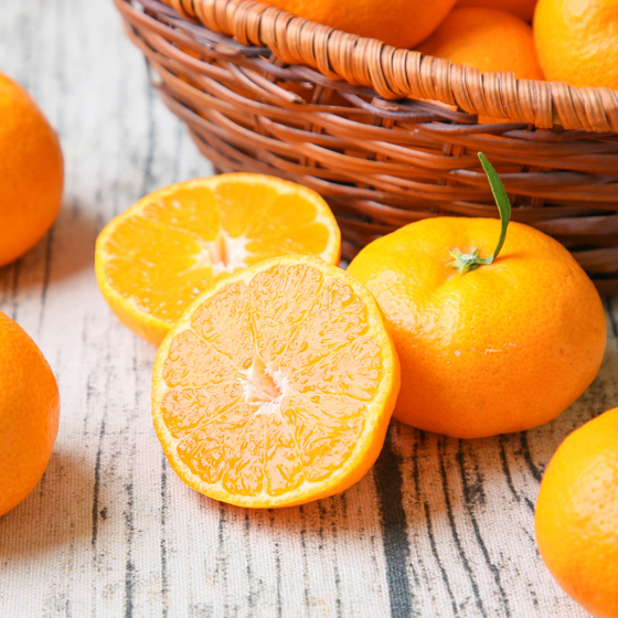 みかん　ミカン　果物　フルーツ　柑橘　吉田みかん 　厳選家庭用　多少の傷あり　中玉　サイズ込み　愛媛県産　送料無料　吉田町　贈答　お歳暮