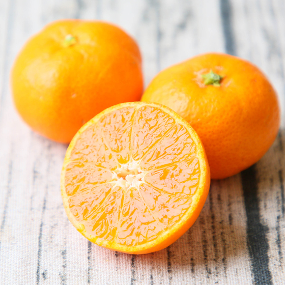 みかん　ミカン　果物　フルーツ　柑橘　吉田みかん 　厳選家庭用　多少の傷あり　中玉　サイズ込み　愛媛県産　送料無料　吉田町　贈答　お歳暮