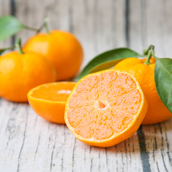 みかん　ミカン　果物　フルーツ　柑橘　吉田みかん 　厳選家庭用　多少の傷あり　中玉　サイズ込み　愛媛県産　送料無料　吉田町　贈答　お歳暮