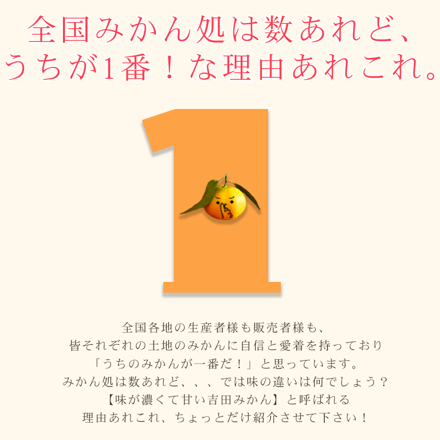 みかん　ミカン　果物　フルーツ　柑橘　吉田みかん 　厳選家庭用　多少の傷あり　中玉　サイズ込み　愛媛県産　送料無料　吉田町　贈答　お歳暮
